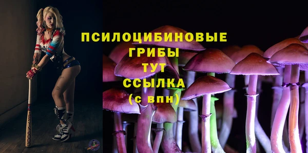наркотики Алексин