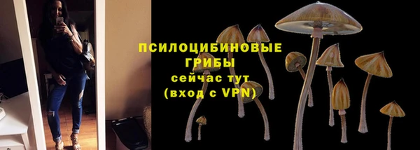 наркотики Алексин