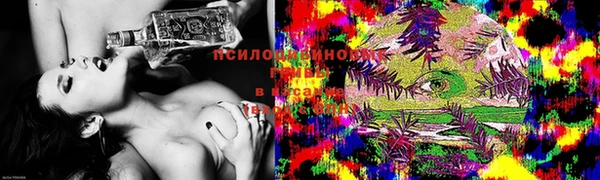 ешки Алексеевка