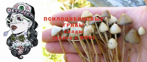 ешки Алексеевка