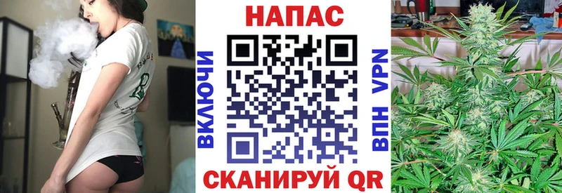 Бошки Шишки планчик гидра рабочий сайт Биробиджан